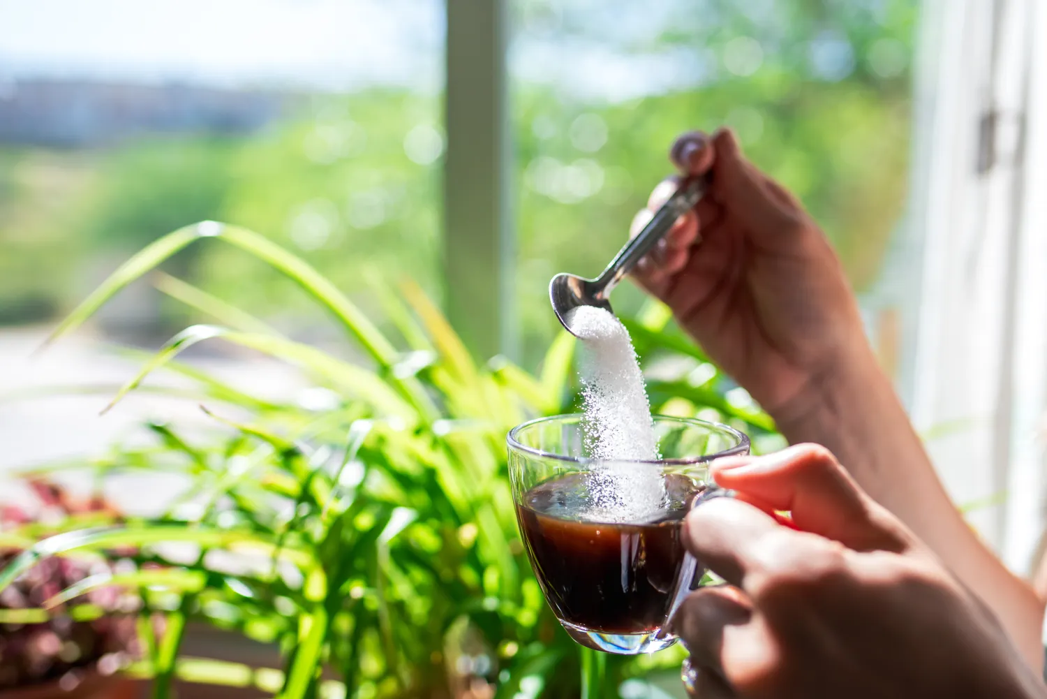 8种最健康的甜味剂，让你越吃越瘦、血糖还稳！