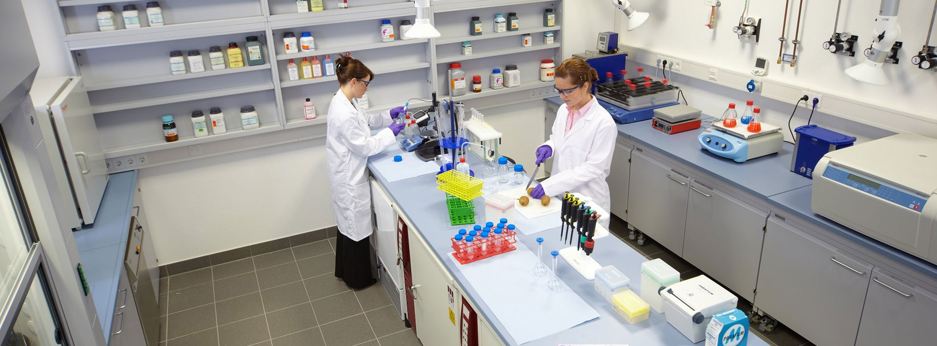 三高患者体质分析与个性化饮食调整建议