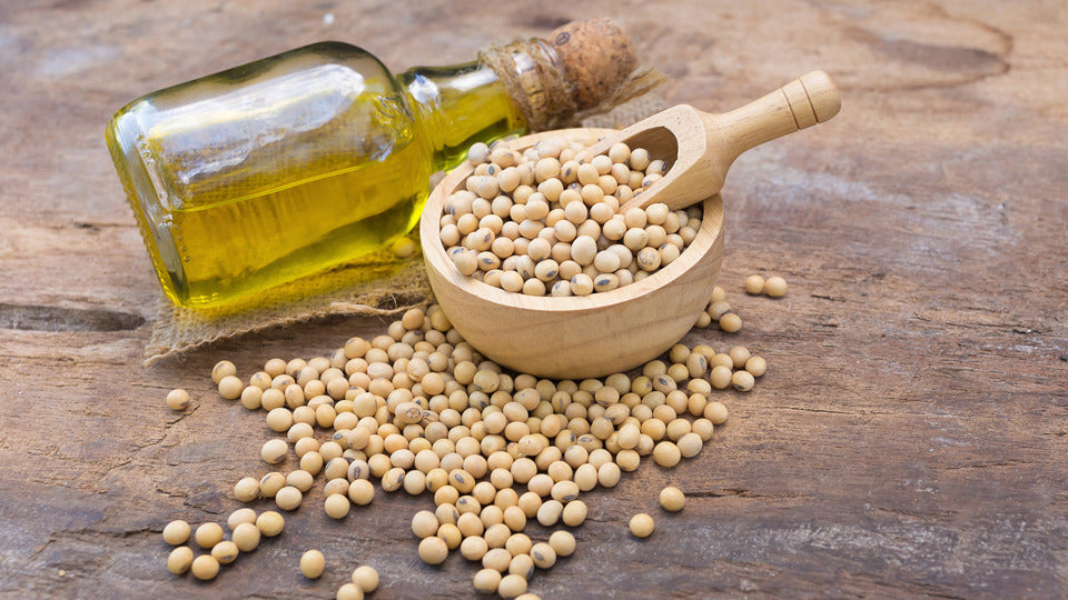 高血脂患者的卵磷脂与大蒜素补充指南