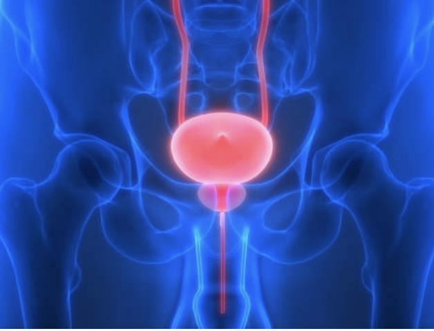 间质性膀胱炎的病理生理机制