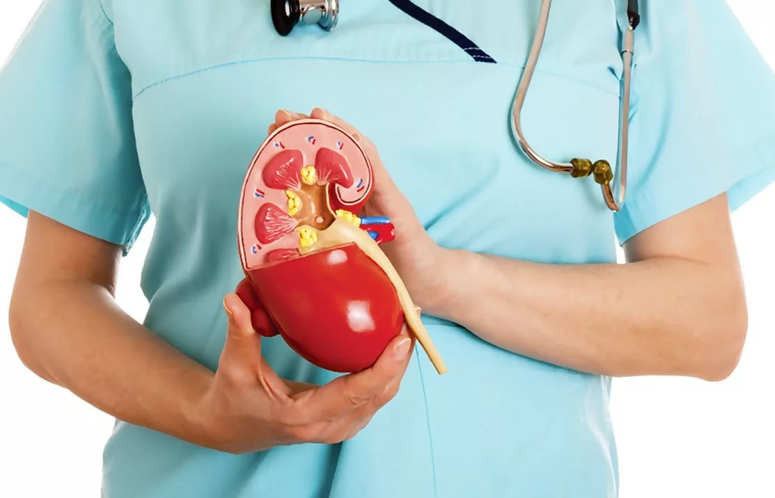 慢性肾盂肾炎的疾病概述与定义