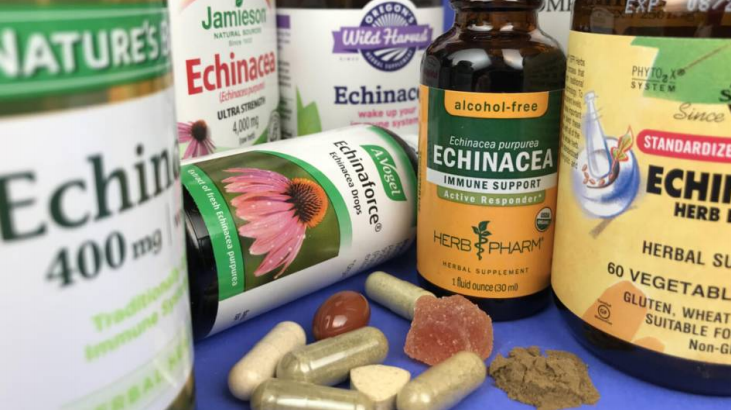 紫锥菊补充剂真相