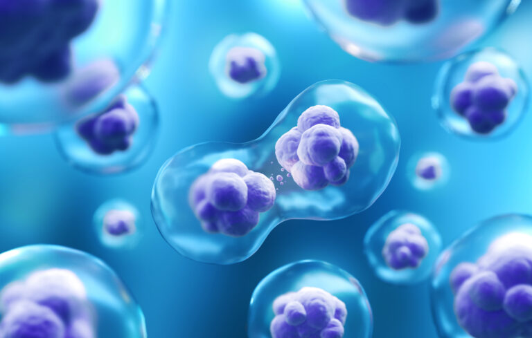 认识干细胞——生命的"种子"细胞