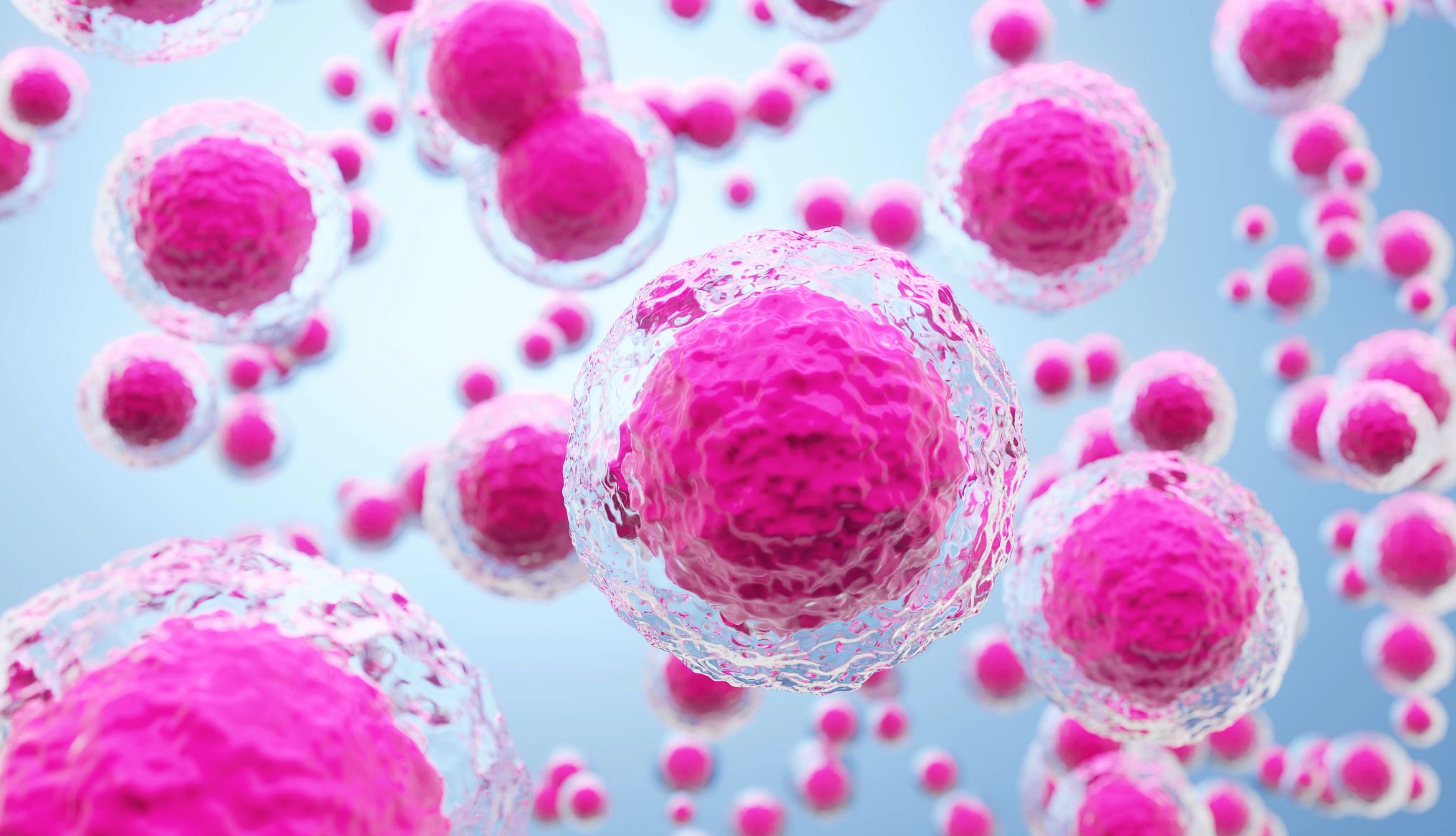 如何理性看待干细胞技术